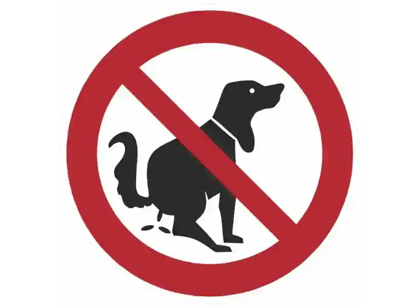 Hund Weg 🐶 Hundekot – Hundeweg