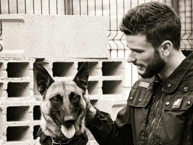 Hund Weg 🐶 Hunde-Verwendung im Hundeweg